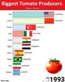 Türkiye, domates üretiminde lider ülkeler arasında