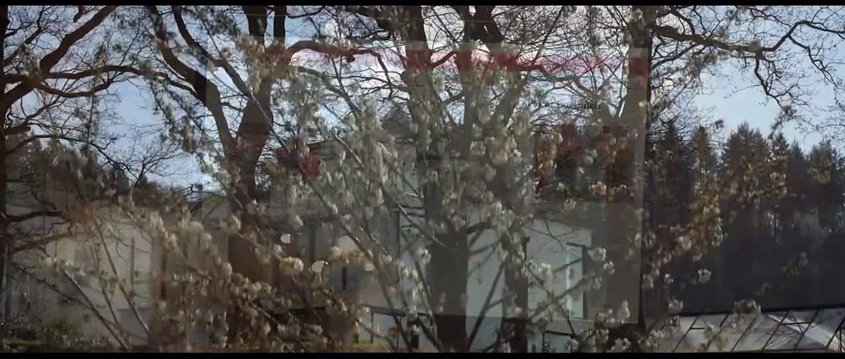 Der Fluch des Kuckucks - Lass niemanden in dein Nest Trailer DF