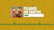 Mamonas Assassinas - Pelados Em Santos (Lyric Video)