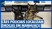 Treinamento de Kakau e Aquiles, os cães policiais que localizaram drogas em Manhuaçu