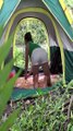 Girl solo camping in forest #camping #girlshots #sexsy