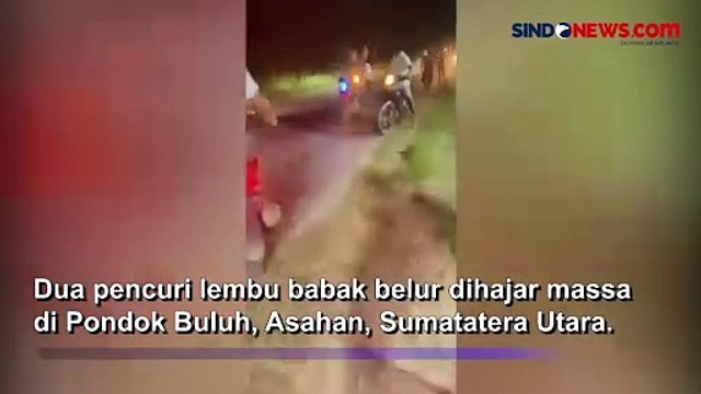 Beraksi dengan Mobil, 2 Pencuri Lembu Babak Belur Dihajar Massa di Asahan