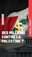 Des Millions pour la Palestine : Que Feriez-Vous avec 20 Millions ? 💰