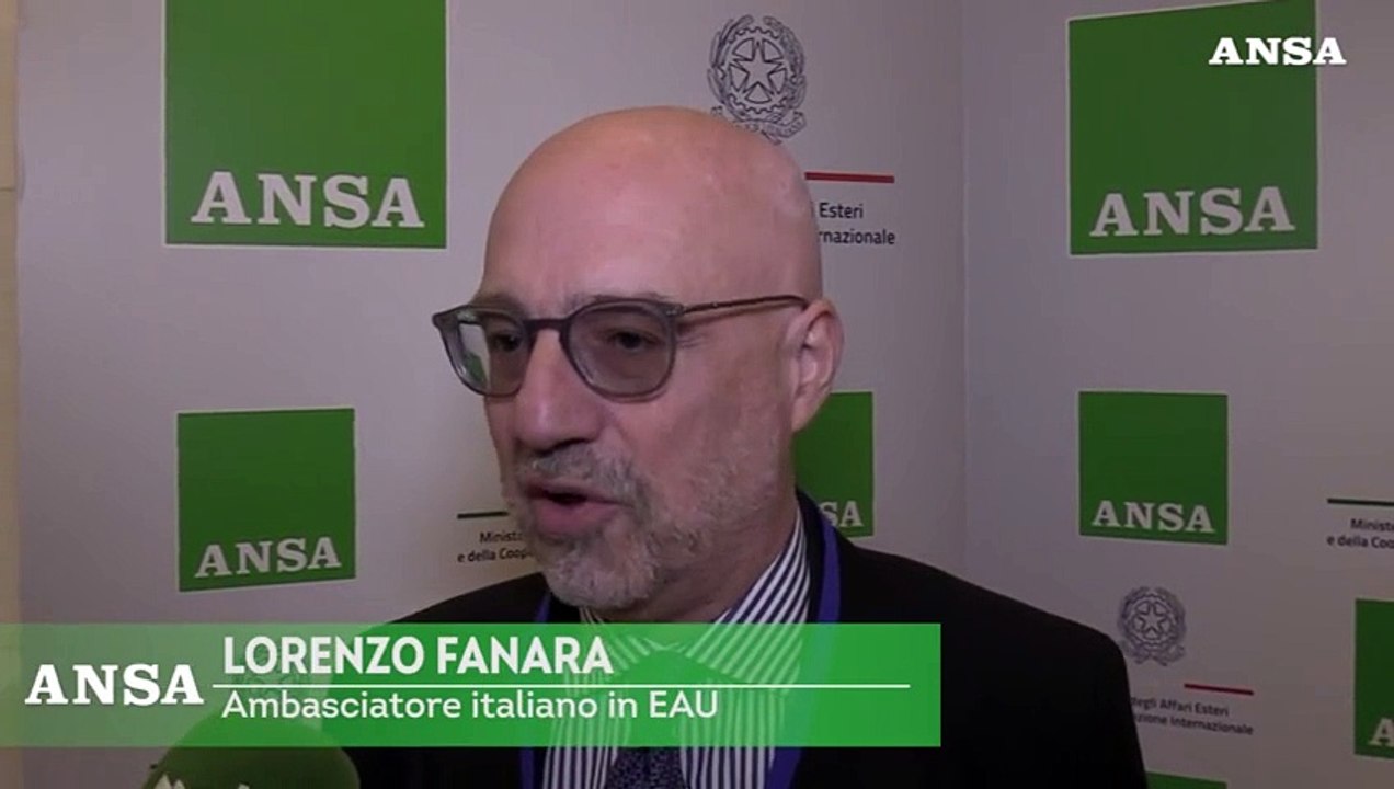 Emirati arabi uniti, Fanara: "Continueranno ad investire in Italia"