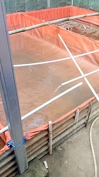 Mulai isi air kolam, mulai pemijahan induk lele lagi, sabar mengolah air kolam agar bibit lele tumbuh optimal