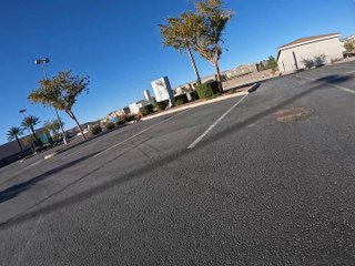 Skateboarding Dog Cruises Through Parking Lot