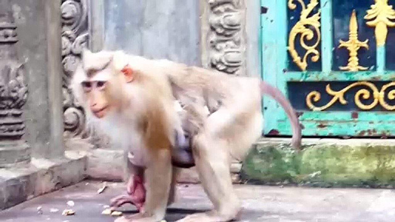 Mom Moly Doesn't Care About Peal Stuck To Baby, Moly Allow Cutie Baby Money To Eat Peel Of Peanut (720p_25fps_H264-192kbit_AAC)