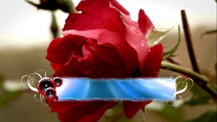 Steliana Sima - Cine a cantat dragostea (Official video)