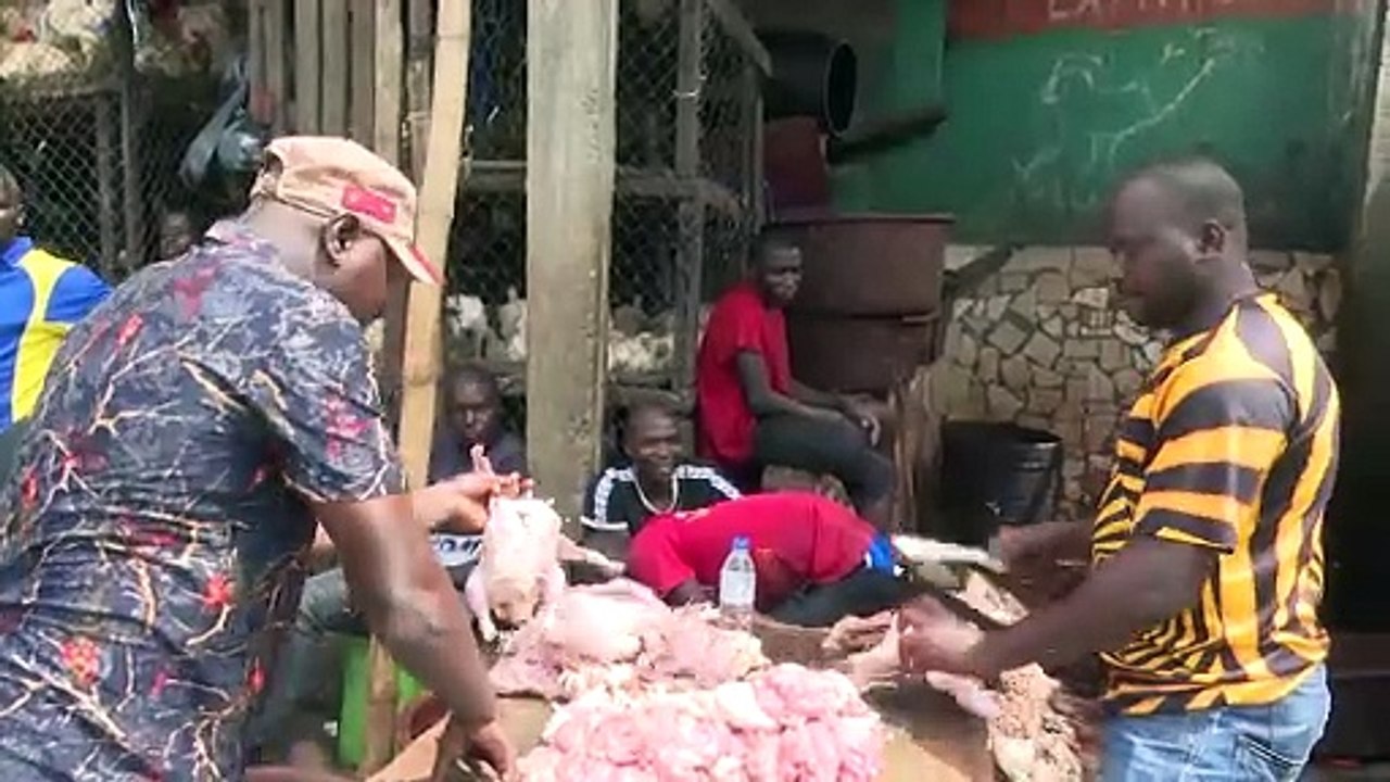Le plumage des poulets est un bussiness pour les jeunes d'Adjamé
