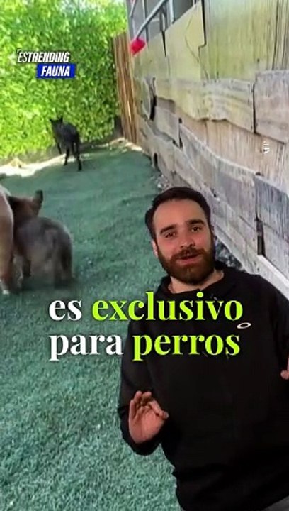 El fino paladar de las mascotas, ya tiene su propio espacio