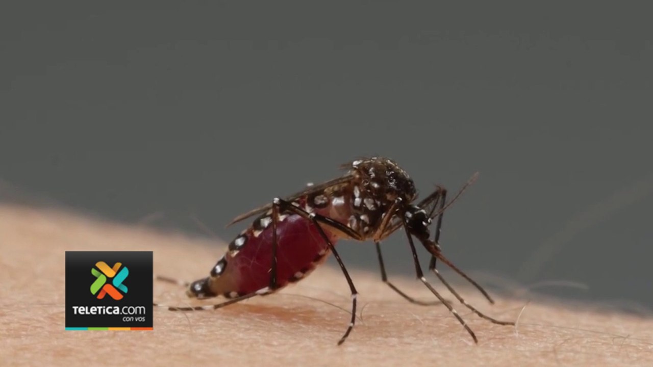 tn7-salud-reporta-ocho-nuevas-hospitalizaciones-por-dengue-grave-211223