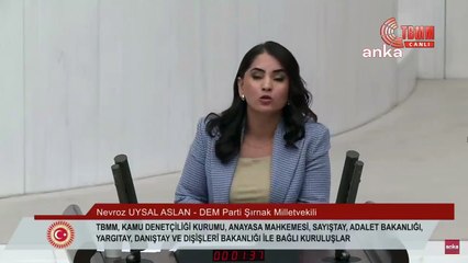 TBMM kürsüsünde bu ne cüret! DEM Partisi'nden skandal: Milletin meclisinden millete meydan okuyorlar