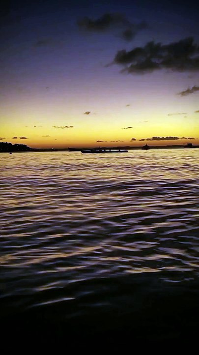 صوت جميل