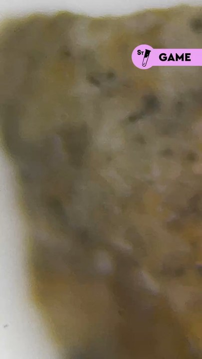 Devine ce qu’on te montre au microscope Indice...
