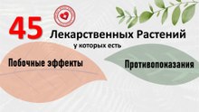 45 лекарственных растений, у которых есть противопоказания и побочные эффекты