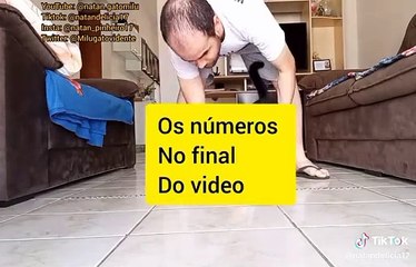 Gato vidente faz previsão de números da Mega da Virada; veja vídeo