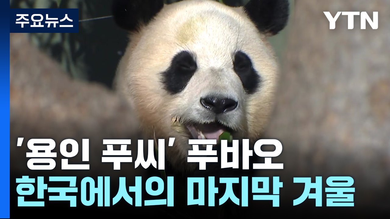 [영상] 안녕! 난 푸바오 / YTN