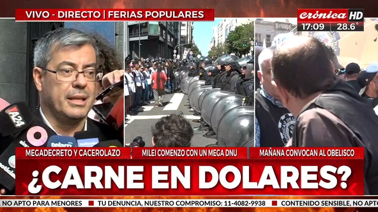 German Martínez: "Tenemos el deber de representar a todos loas argentinos afectados por el DNU"