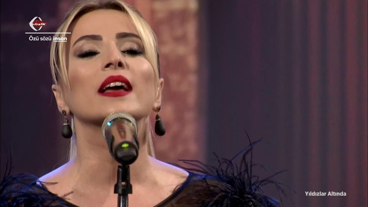 Ayşen Birgör / Sanırdım gündüzdü onlarla gecem