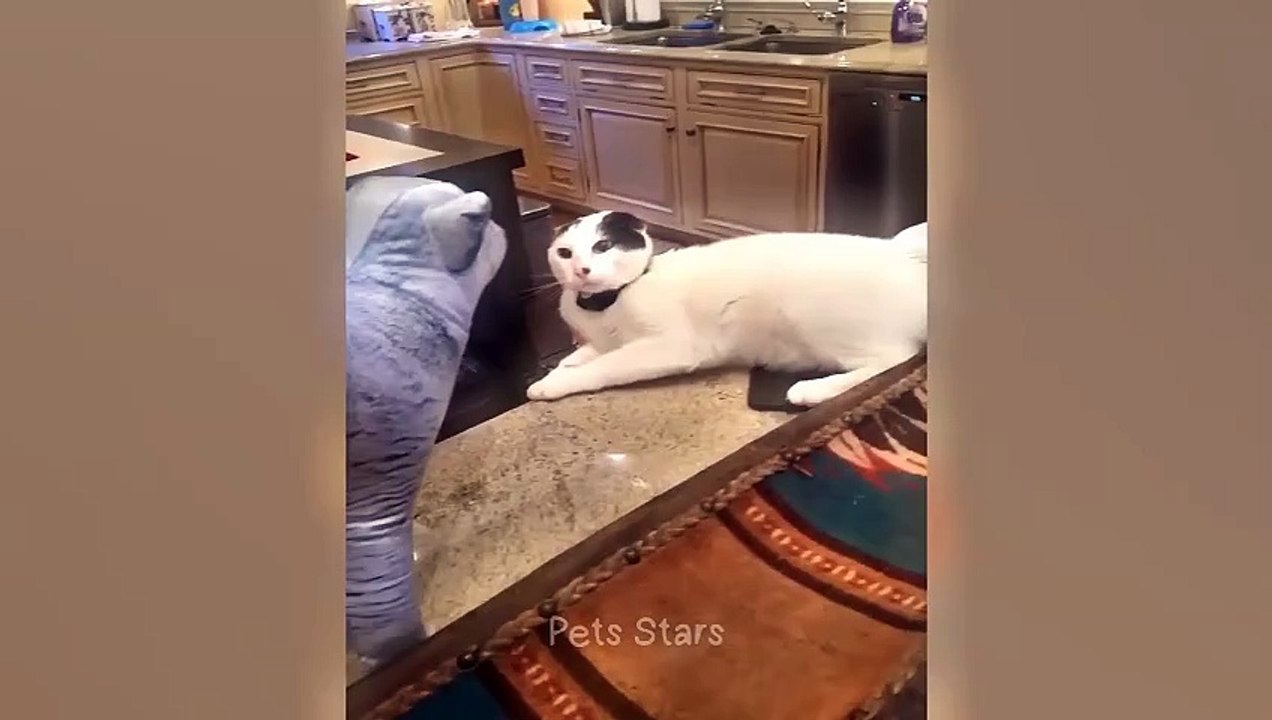 C10ytshortsindia morsomt haha ​​​​#cutebaby#comdy #comedys #babs#comedyshorts#cuteanimalsytshortsindia#ytshortsindia 有趣哈哈#cutebaby #comdycomedys #ba#comedyshorts #cuteanimals#ytshortsindia#ytshortsindiaمضكههههه#cutdy #comedys #babs#comedyshorts#cuteanimal