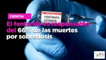 El fen­ta­ni­lo es res­pon­sa­ble del 66% de las muer­tes por so­bre­do­sis