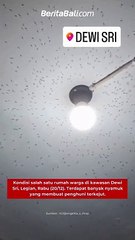 Kondisi salah satu rumah warga di kawasan Dewi Sri, Legian, Rabu (20/12). Terdapat banyak nyamuk yang membuat penghuni terkejut. - IGangelita_s_shop