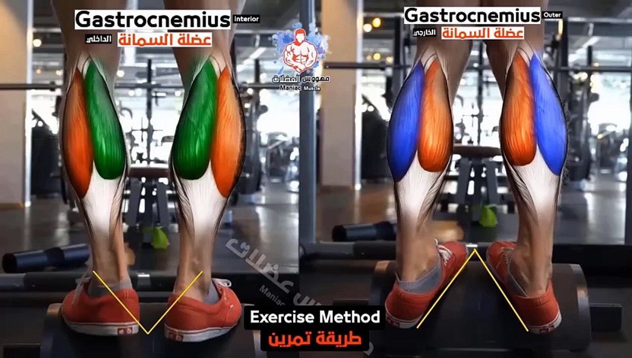 7 BEST EXERCISE  CALVES WORKOUT & Calf Raise