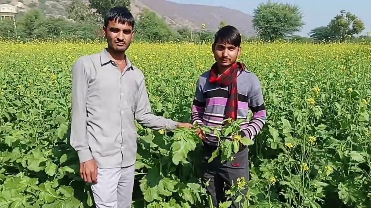 कड़ाके की सर्दी से ठिठुरे लोग, जले अलाव, फसल पर पाला पडऩे का सता रहा अंदेशा