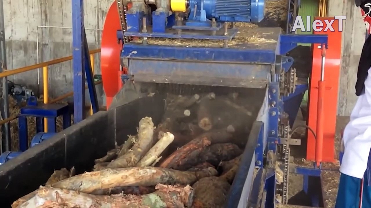 Amazing Big Whole Tree Chipping Crusher Machines Working, Fastest Wood ...
