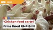 5 companies fined RM415mil for forming ‘chicken feed cartel’