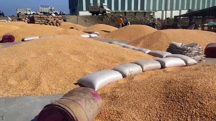 Market income decreased by 33 percent