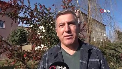 Son yağışlar da fayda etmedi! Van Gölü'nde vahim manzara