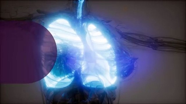 Lung Cancer Prevention and Early Detection