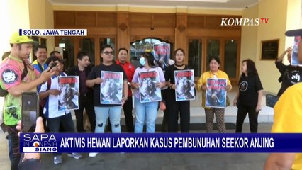 Download Video: Aktivis Pecinta Hewan Laporkan Warga Penganiaya Anjing hingga Mati