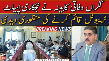 Caretaker Federal Cabinet give approval for setting Privatization Appellate Tribunal