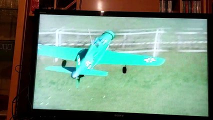 Ameisenbär elektrisch Erstflug