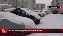 Hakkari'de kar yağışı hayatı olumsuz etkiledi