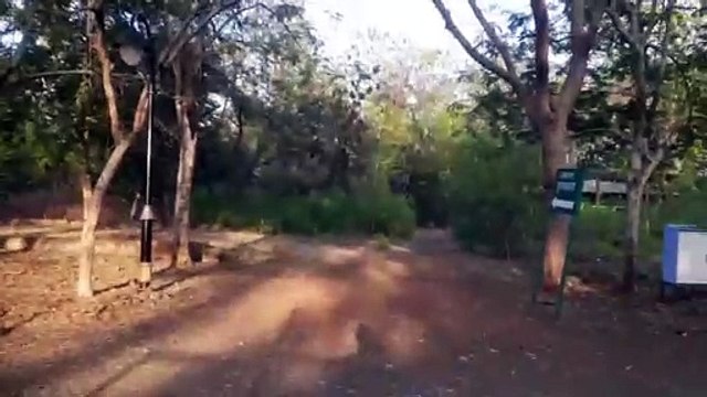 डुमना नेचर पार्क में छाई हरियाली