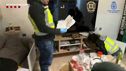 Desarticulada una banda que secuestró a un anciano portugués y lo intentó con una empresaria