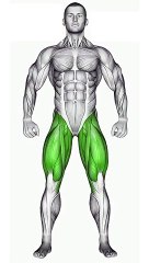 Unlock Leg Day Excellence  #legexercises  #legday  #fitnessgoals  #sculptedlegs #shorts #gym #short