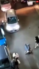Rissa ad Ercolano nella Notte della Vigilia (28.12.23)