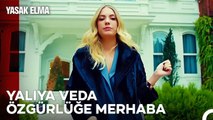 Bir Yıldız Gibi Kayarım Hayatınızdan - Yasak Elma 28. Bölüm