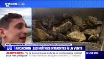 Huîtres du Bassin d'Arcachon interdites à la vente: 