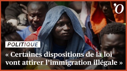 Patrick Weil: «Certaines dispositions de la loi vont attirer l’immigration illégale»