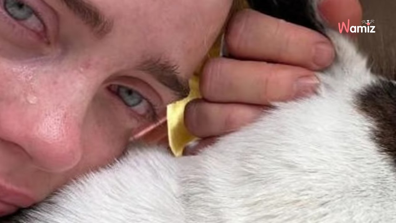 „Als Dein Herz stehen blieb, hörte ich meines zerbrechen“: Jochen Bendel in großer Trauer