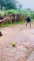 Brother Bernard ------ Trending Tiktok Compilation _brotherbernard _shorts _funny