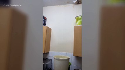 Tandy Dube shows the damage caused by the leak in her kitchen