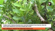 Yerba Mate Preocupación en el Sector Productivo tras El DNU de Milei Que Modifica Las Facultades Del Inym