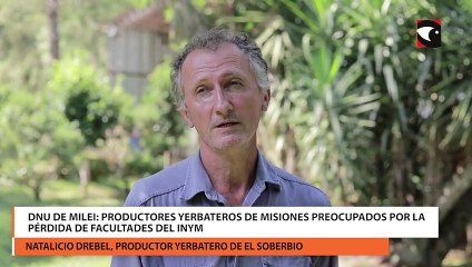 Descargar video: DNU de milei productores yerbateros de misiones preocupados por la pérdida de facultades del INyM