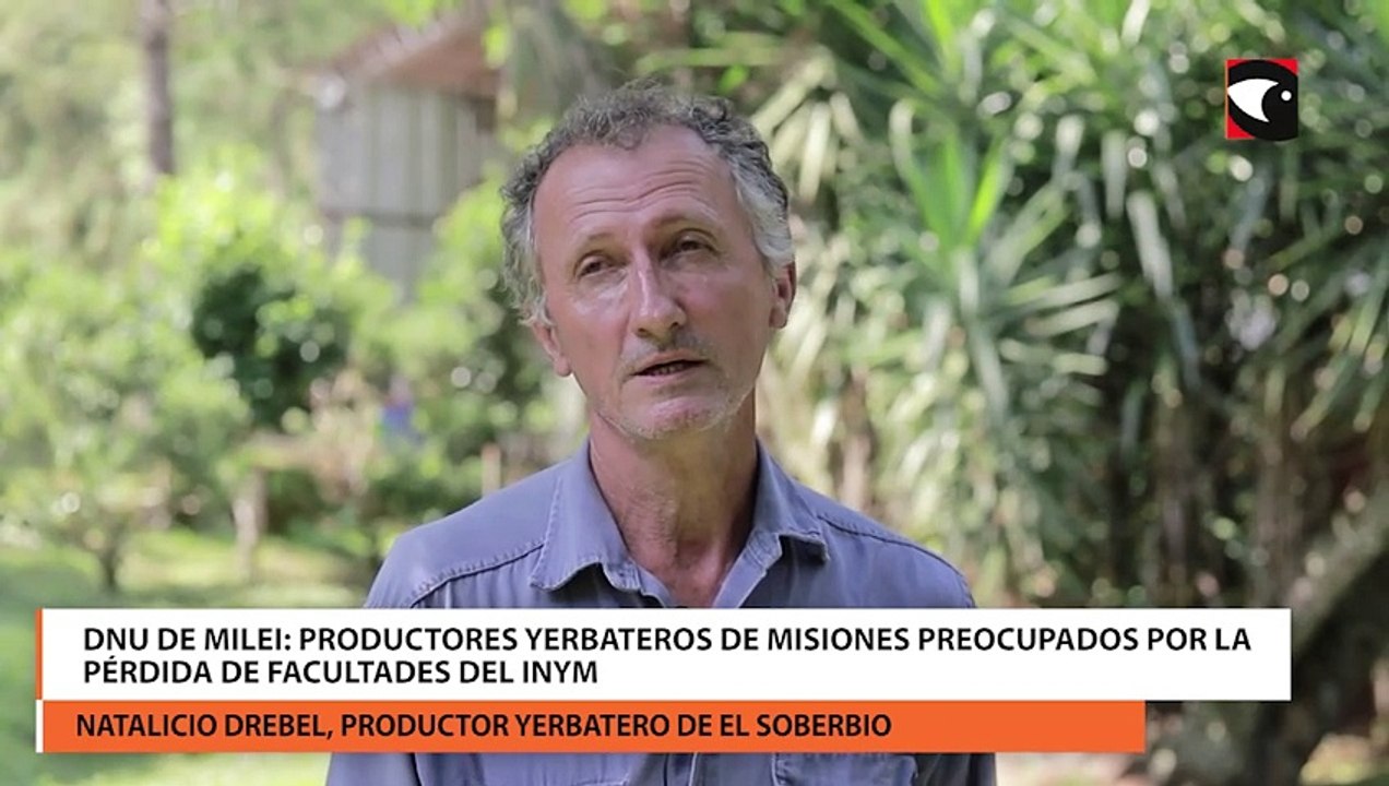DNU de milei productores yerbateros de misiones preocupados por la pérdida de facultades del INyM